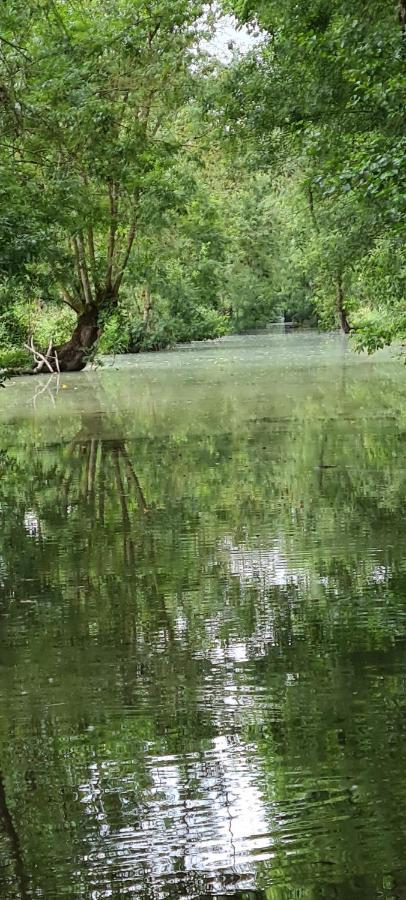 L'Enclos Bleu, Gite - Marais Poitevin Avec Piscine Chauffee Chaille-Les-Marais Екстериор снимка